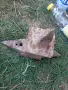 Наковалня шкода , снимка 3