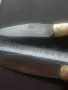 Габровски сойки..., снимка 3