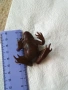 Бронзова фигурка на 🐸 жаба 48218, снимка 7