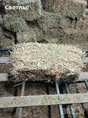 Продавам малки бали грах и овес