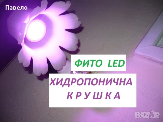 UV хидропонични фито лампи за растения, снимка 2 - Лед осветление - 54539390