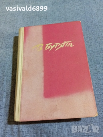 Никола Голанов - В бурята 