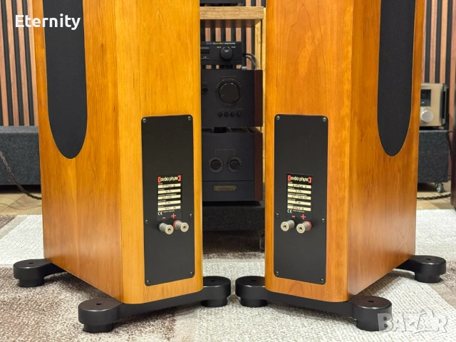Audio Physic Virgo 3 mk1 / Тонколони, снимка 9 - Тонколони - 54544043