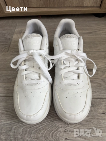 Adidas HOOPS 3.0 