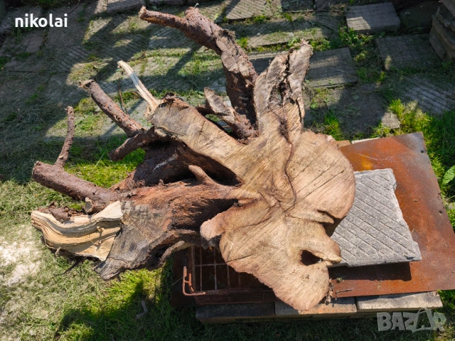 Шайби от корен на Салкъм , снимка 3 - Други - 54438012