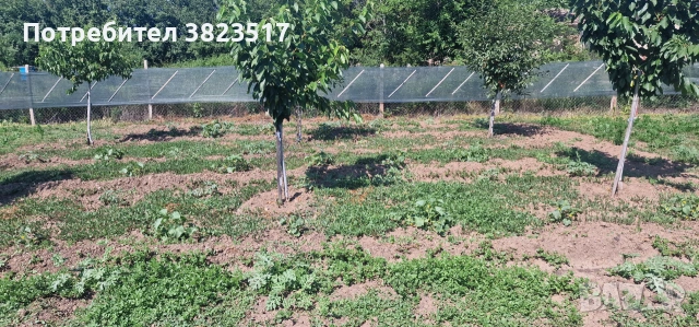 ПРОДАВАМ ПАРЦЕЛ 2800 кв. м, снимка 6 - Парцели - 55089305