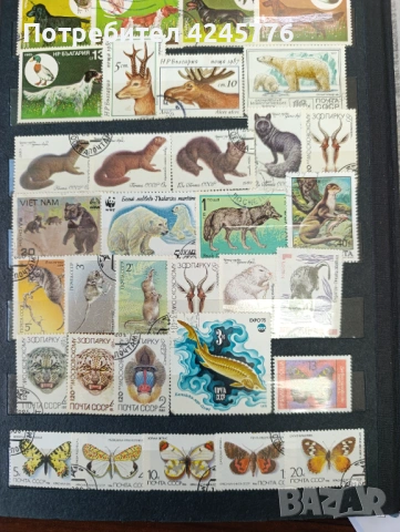 Пощенски марки, снимка 6 - Филателия - 54134080