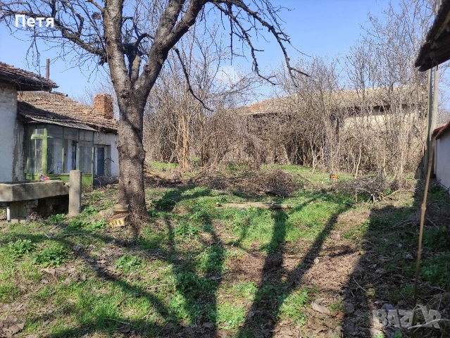 Къща в с. Полско Косово, обл. Русе, снимка 4 - Парцели - 54222275