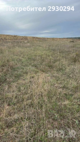 Земеделска земя