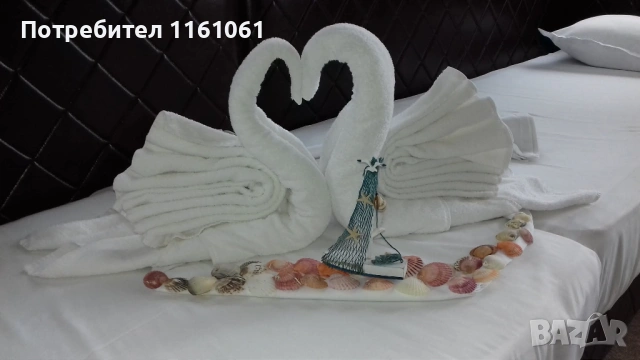 Търся, снимка 4 - Камериерки - 53875425