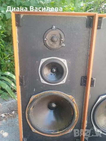 Celestion Ditton 44 monitor speaker, снимка 13 - Тонколони - 55321959
