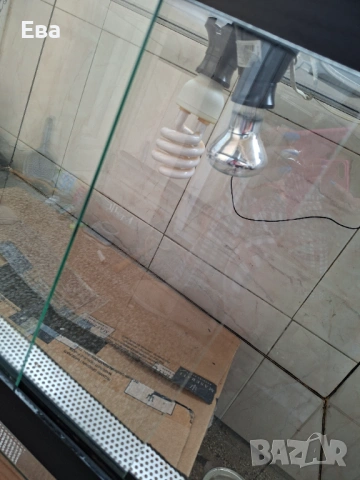 Терариум, снимка 3 - Терариуми и оборудване - 54041945