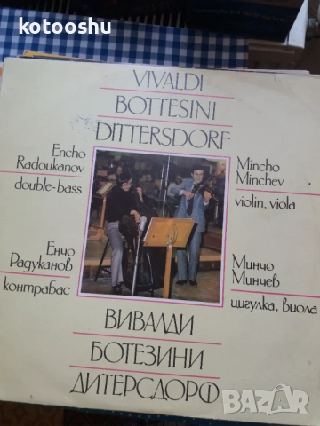 Грамофонни плочи - български, руски, полски и други, снимка 11 - Грамофонни плочи - 54448288