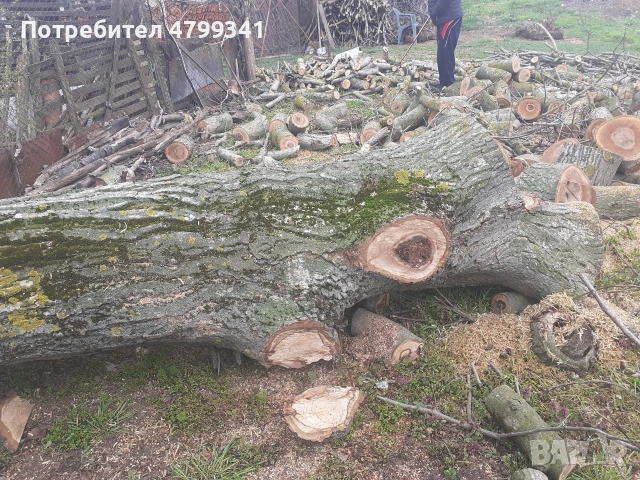 Дървен материал орех, снимка 4 - Други - 54221452