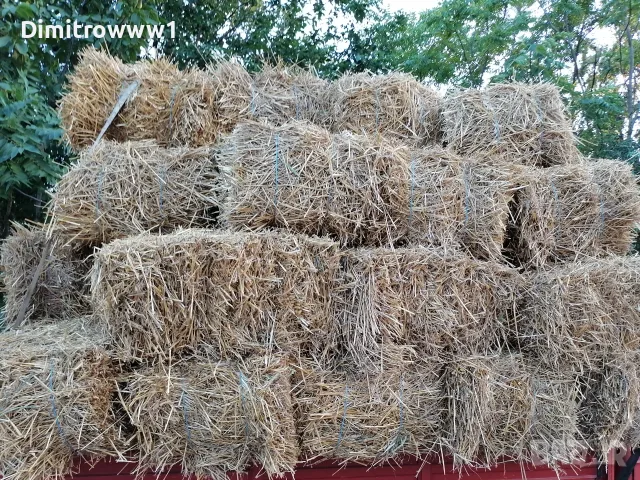 Продавам Бали слама, снимка 3 - За селскостопански - 53761813