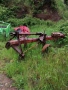продавамССМ, снимка 3