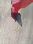 Фрези за дърво профилни, снимка 4