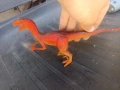 Реалистична фигурка на динозавър Велосираптор (Velociraptor), снимка 4