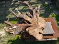 Шайби от корен на Салкъм , снимка 3