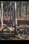 продавам Drag c1 team 2020, снимка 3