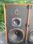 Celestion Ditton 44 monitor speaker, снимка 13