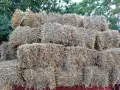 Продавам Бали слама, снимка 3
