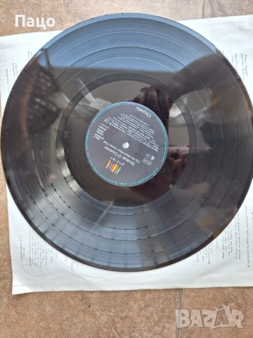 sinead o'connor /I Do Not Want What I Haven't Got [Vinyl], снимка 15 - Грамофонни плочи - 54244911