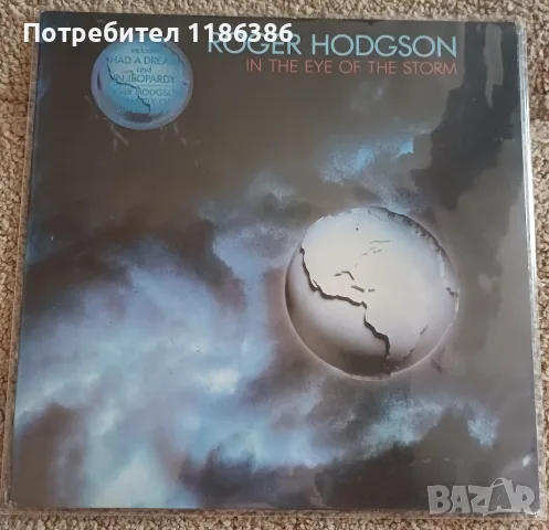 Грамофонни плочи Рок, снимка 3 - Грамофонни плочи - 55339141