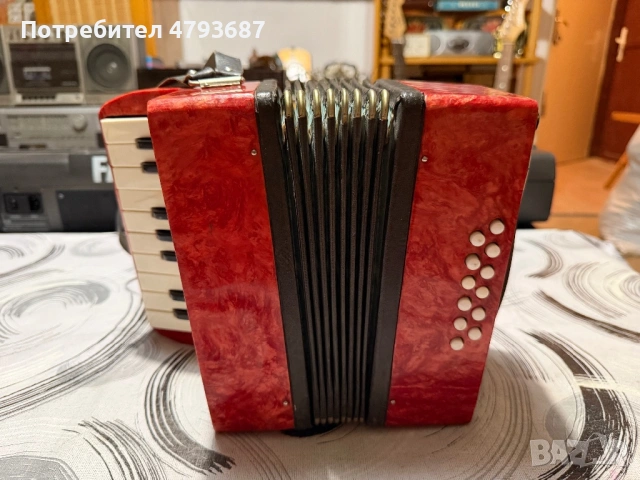 Руско акордеонче