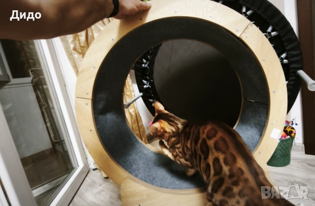 Котешко колело за тичане, снимка 7 - За котки - 55157593