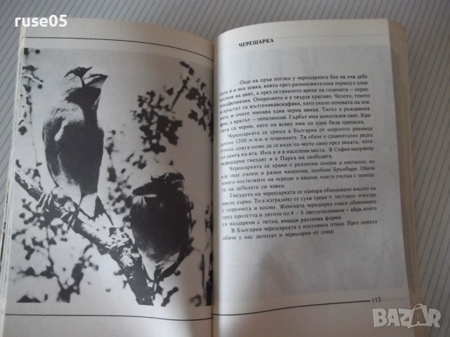 Книга "Не ги убивайте ! - Димо Божков" - 176 стр., снимка 5 - Специализирана литература - 54490437