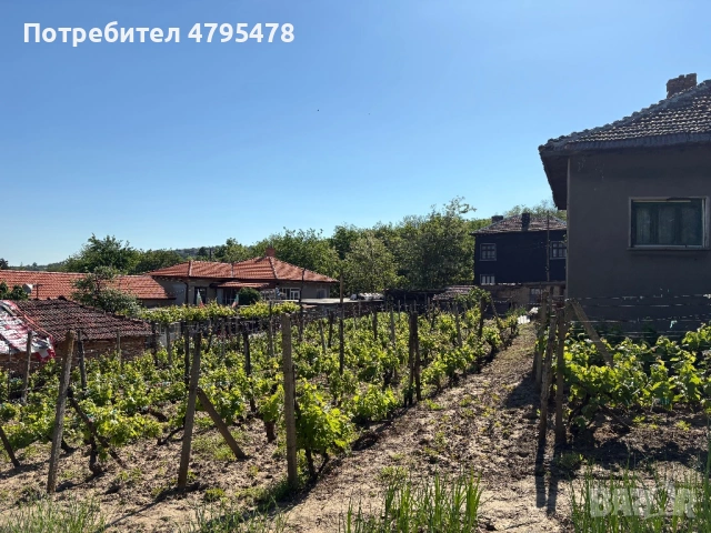Продавам Къща с лятна кухня, двор и стопанска сграда , снимка 15 - Къщи - 54179017
