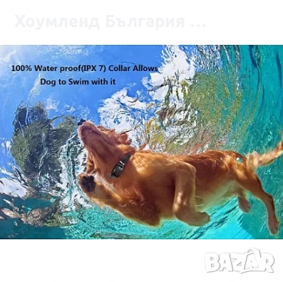 Обучителен нашийник за дресиране на куче, снимка 4 - За кучета - 55191300