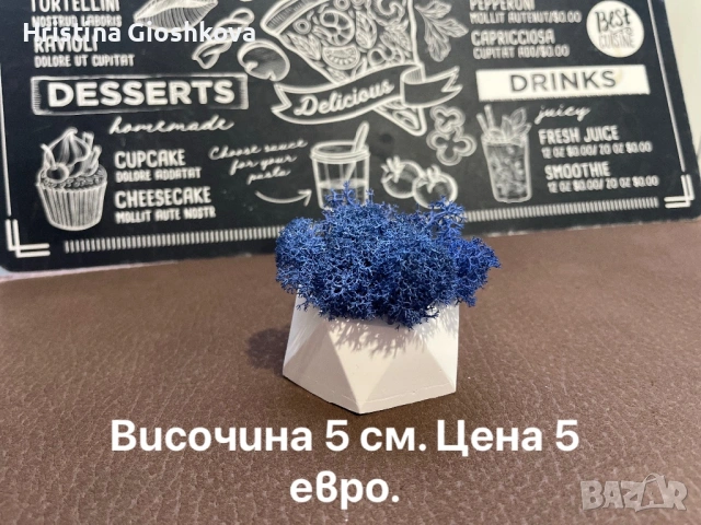 Гипсова форма със скандинавски мъх, снимка 3 - Декорация за дома - 54511053