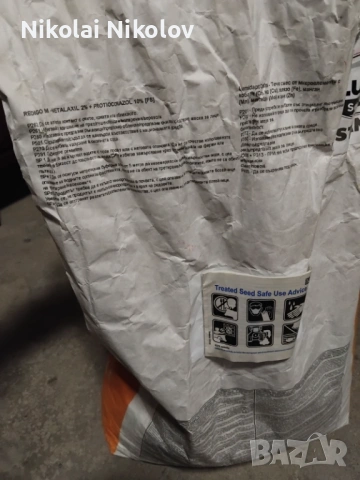 Царевица семе , снимка 3 - Сортови семена и луковици - 54335432