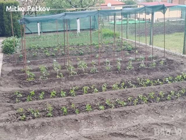Къща с дворно място в с.Николавка., снимка 6 - Къщи - 55323248