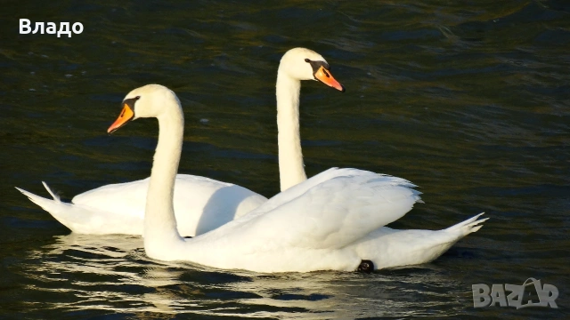 Фотоапарат Sony HX 300, снимка 18 - Фотоапарати - 54239081