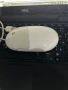 Apple mouse / мишка Германия, снимка 11