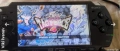 PSP 2003, снимка 2