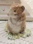 Порцеланова фигурка Royal Albert Beatrix Potter Figurine Timmy Willie , снимка 2