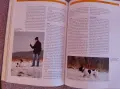 Френски булдог-книга ръководство за породата, снимка 14