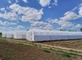 Оранжерийно стопанство , снимка 6