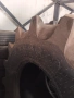 Гуми за комбайн 900/65R32, снимка 2