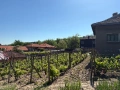 Продавам Къща с лятна кухня, двор и стопанска сграда , снимка 15