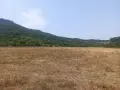 Продавам 489 кв нива село Долно Черковище цена 500 евро 0884811668, снимка 4