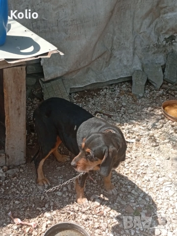 Продавам кьосе барак 