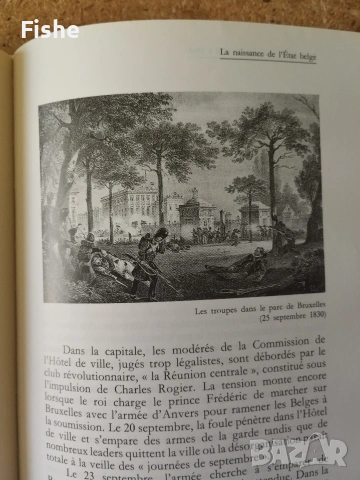 Продавам две интересни книги за Белгия, снимка 5 - Художествена литература - 53980220