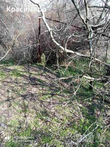 Парцел със стара къща с. Оряхово, община Любимец, снимка 3 - Парцели - 55350550