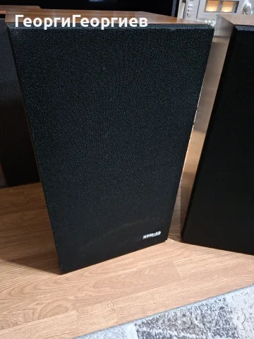 PIONEER HPM-60.........., снимка 10 - Тонколони - 55607963