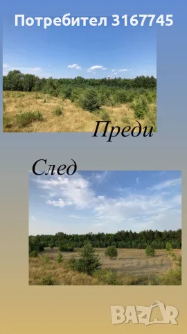 Почистване на терени с горски мулчер и трактор, снимка 5 - Селскостопанска техника - 55578565